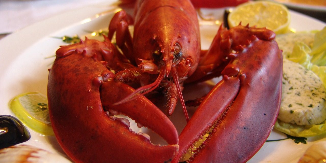 Trudne potrawy: jak jeść homara?